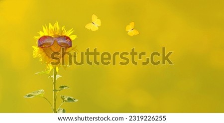 Smiling face of sunflower in sunglasses and yellow butterflies isolated on summer background with copy space for happy summertime and eco concept.