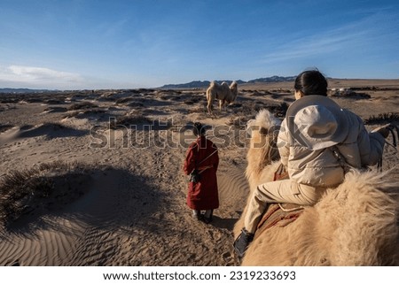 Tourist ride Wild Bactrian camel on Mongolian Nomads Camping Royalty-Free Stock Photo #2319233693