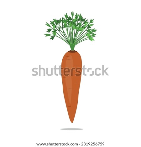 Healthy Vegetable. Carrot Icon Vector Design.