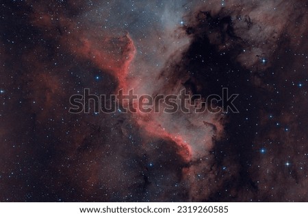 Beautiful nebula of the universe in deep space. NGC 7000 The wall of the cygnus in the north wall of America in the constellation of cygnus