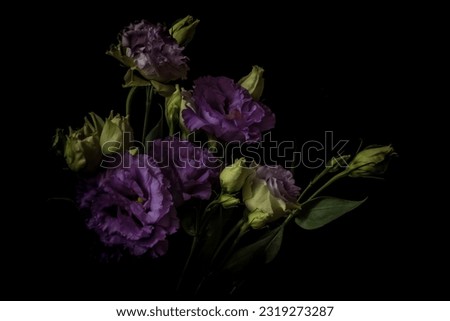 lisianthus Still life. Bouquet of flowers in cold lilac and green tones. lisianthus on a black background. Loy key photo. color bloom. Loy key photo. blurred foreground  Royalty-Free Stock Photo #2319273287