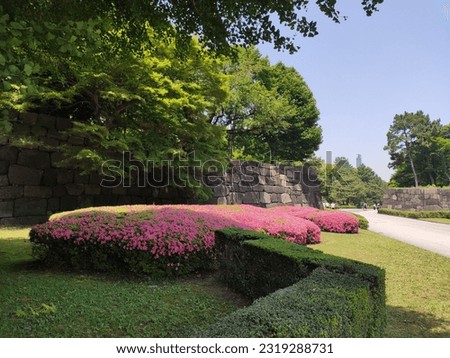 Corner of Imperial and Asian Garden in Tokyo City, with all its floral beauty, well-trimmed trees, exotic and colorful flowers, sunbeams, beautiful bushes, strong sunlight, artistic pruned bush Royalty-Free Stock Photo #2319288731