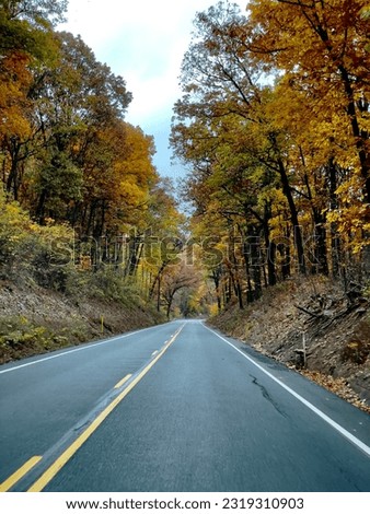 Fall foliage and highway road