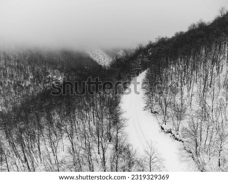 Aerial view of a mountain road in the middle of forest covered by snow