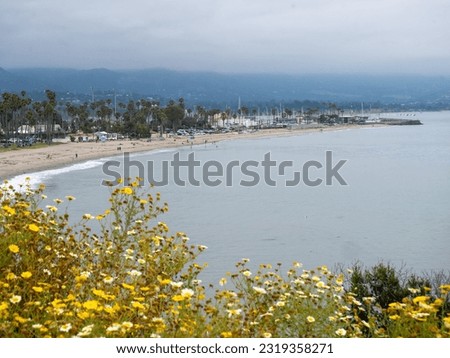 The Santa Monica coast on a cloudy day with yellow flowers