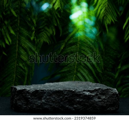 black stone and green leaves for podium background