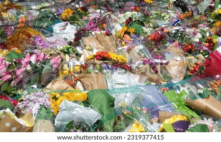Floral tributes laid following a tragic event or death of a celebrity Royalty-Free Stock Photo #2319377415