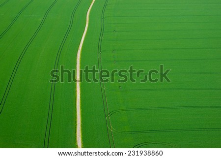 Color photography of green cornfield and gravel road from the top view. Green background