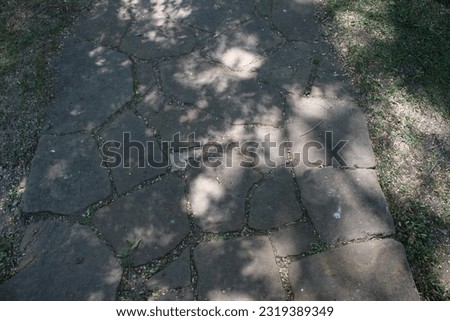 shadows of tree branches on a walking trail in a park