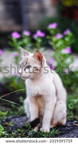 Selective focus Striped cat sitting with grass and purple flowers in the background