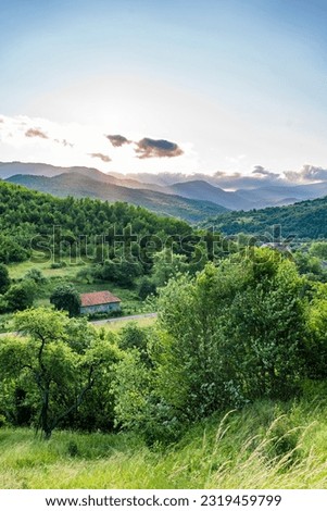 countryside. green hills covered with forest in the mountain range in the morning time in summer. wonderful summer landscape in the mountains. grassy field and hills. vertical photo. 