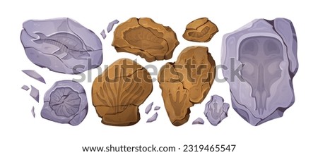 Cartoon set of fossil stones with prehistoric animal and plant imprints. Vector illustration of ancient rocks with dinosaur footprints, fish, shell, mammoth skull prints. Archeology museum exhibits