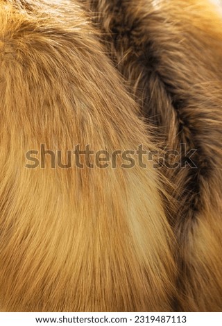 animal red fur as a background