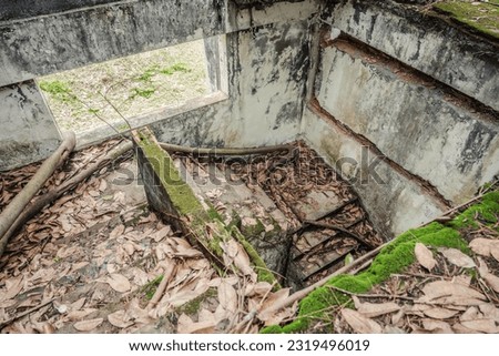 pictures from every sides of an old abandon house on the mountain in Cambodia, it's cover by tree lines and leaves at all floors. This house look so scary. 