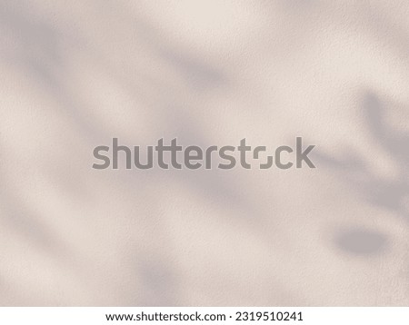 Leaf shadow and light on pink wall, abstract background for product design presentation.