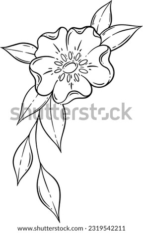 Flowers line art, Wildflower line art design, Floral elements