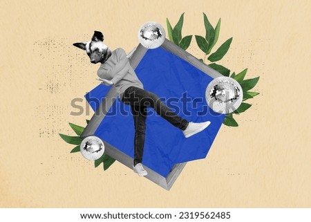 Composite collage of black white effect mini guy hyena head dancing inside wooden photo frame disco ball plant leaves isolated on beige background