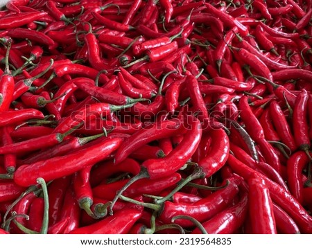 Chili (Capsicum annum L.) is a vegetable commodity that is widely cultivated by farmers in Indonesia. As a spice, hot chilies are very popular in Southeast Asia as a flavor enhancer for food.