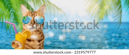 Funny cat in sunglasses holds a tropical cocktail on the background of the sea or ocean.