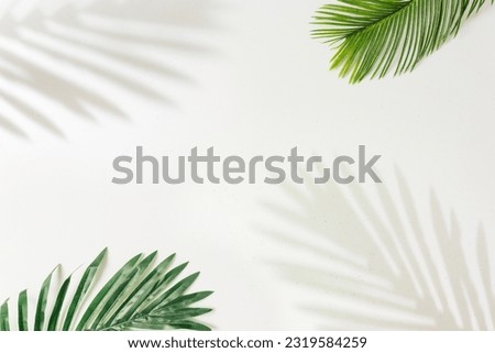 Creative Layout Made of colorful Tropical Leaves On White Background