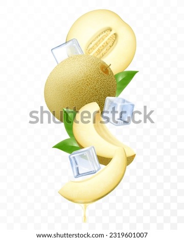 Fresh melon with ice cubes falling or flying. Composition of elements melon with leaves, whole melon, half and slices of melon , 3D realistic vector illustration isolated on transparent background