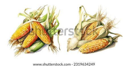 Corn, watercolor painting style illustration. Vector set. Royalty-Free Stock Photo #2319634249