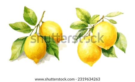 Lemon, watercolor painting style illustration. Vector set.