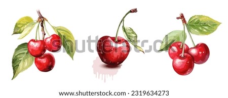 Cherry, watercolor painting style illustration. Vector set. Royalty-Free Stock Photo #2319634273