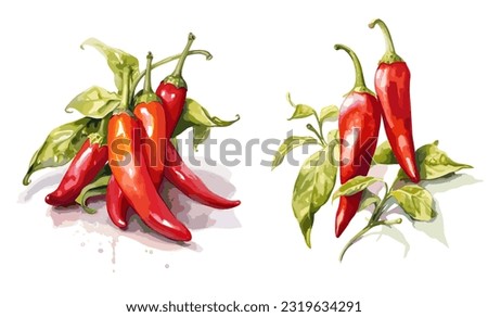 Chili pepper, watercolor painting style illustration. Vector set.