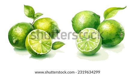 Lime, watercolor painting style illustration. Vector set.