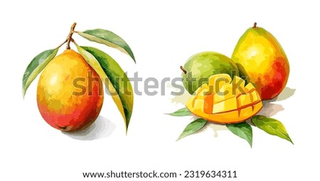 Mango, watercolor painting style illustration. Vector set.
