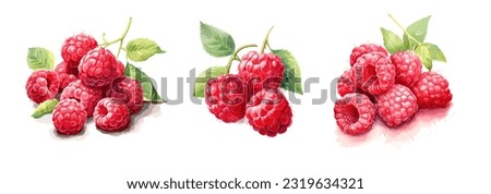 Raspberries, watercolor painting style illustration. Vector set. Royalty-Free Stock Photo #2319634321