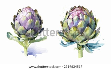 
Artichoke, watercolor painting style illustration. Vector set. Royalty-Free Stock Photo #2319634517