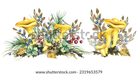 Forest chanterelle mushrooms with blueberry bushes, moss and autumn leaves. Watercolor illustration, hand drawn. A set solated compositions on a white background.
