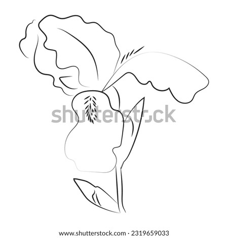 Vector illustration of iris flower.Outline.Black and white. Isolated element