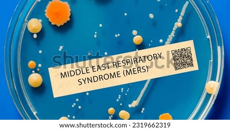 Middle East respiratory syndrome (MERS) - Viral respiratory illness that caused a global outbreak in 2012. Royalty-Free Stock Photo #2319662319