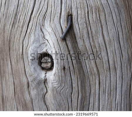 Light Grey Wooden Post with Knot