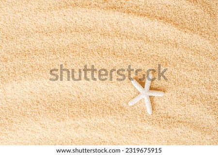 White Starfish on Beach Sand background, copy space. summer card