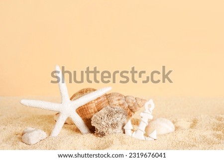 Seashells with starfish and stone on sand background. Sea summer card
