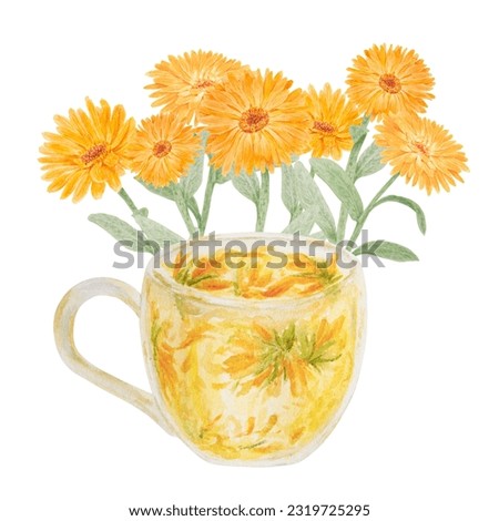Orange calendula officinalis and a cup of herb tea. Watercolor hand drawn illustration. Botanical element for labels, eco goods, textiles, natural herbal medcine, cosmetics