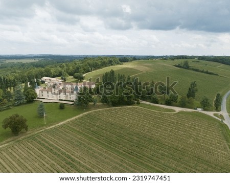 Winehouse, Vineyard with grapes around Bordeaux, France. Europe. Royalty-Free Stock Photo #2319747451