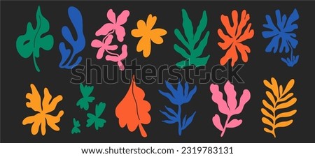 Set of hand drawn exotic jungle leaves, flowers and plants. Abstract modern trendy vector illustration. Perfect for posters, instagram posts, stickers.