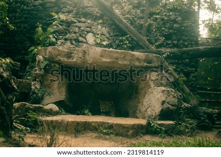 Resting Jaguar in Cave. High quality photo