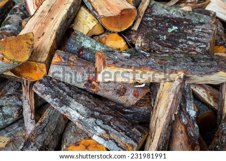 Oak and pine firewood 