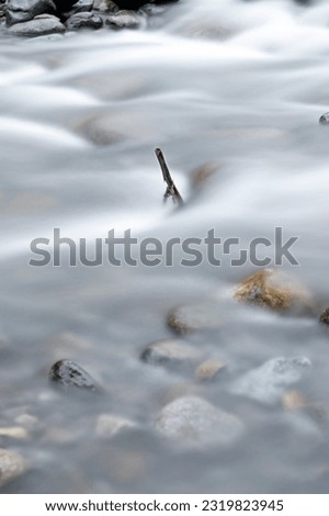 A wooden stick coming above the surface and inmersed in the water flowing down stream in a river that crosses the town of Mindo Ecuador, on an overcast afternoon. Long exposure photography.