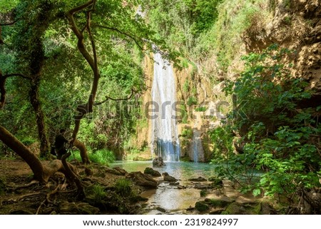 Waterfall of Kalamaris, a natural reserve during warm afternoon light,  in Gialova region and the river Neda, in Messinia prefecture, Peloponnese, Greece, Europe.