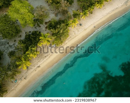 Top view picture of pointe marin beach in sainte anne, martinique, caribbean