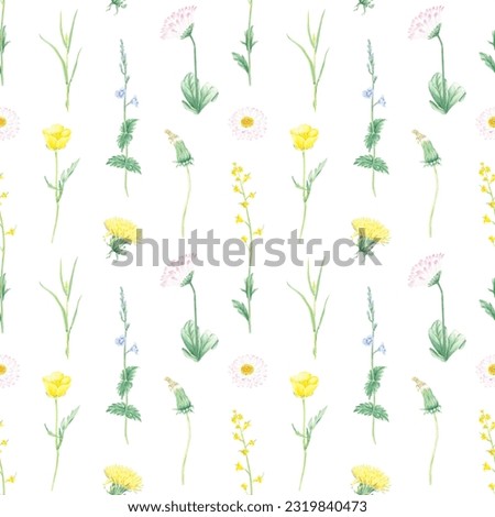 Watercolor seamless pattern dandelion hand-drawn in botanical style for use in textile, wedding packaging, holiday and nature design invitation. Wildflower for decorating cards, wallpaper, fabric. Art