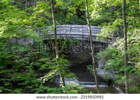 Wooden foot bridge in a forest with stream setting with spring growth.

