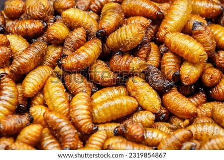 fried Red palm weevil worm in thai street food market